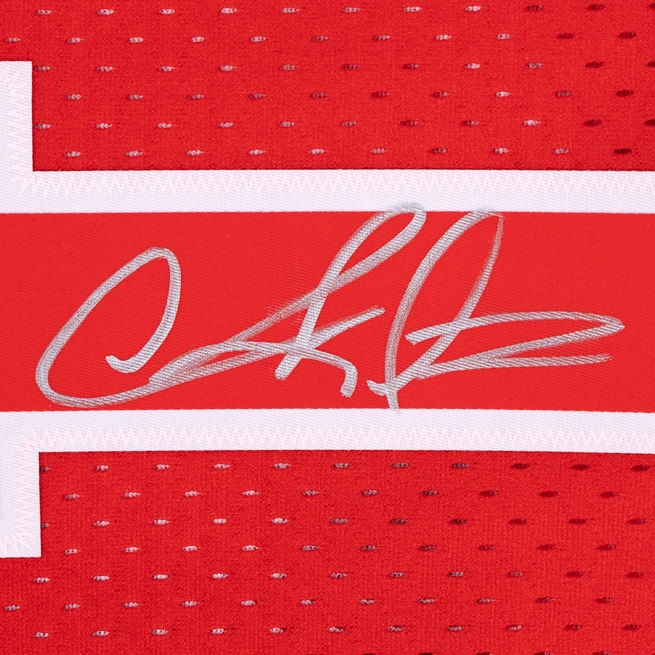 Dennis Rodman Signed Pistons Mitchell & Ness Split Swingman Jersey Inscribed "The Worm" - The Real Autograph