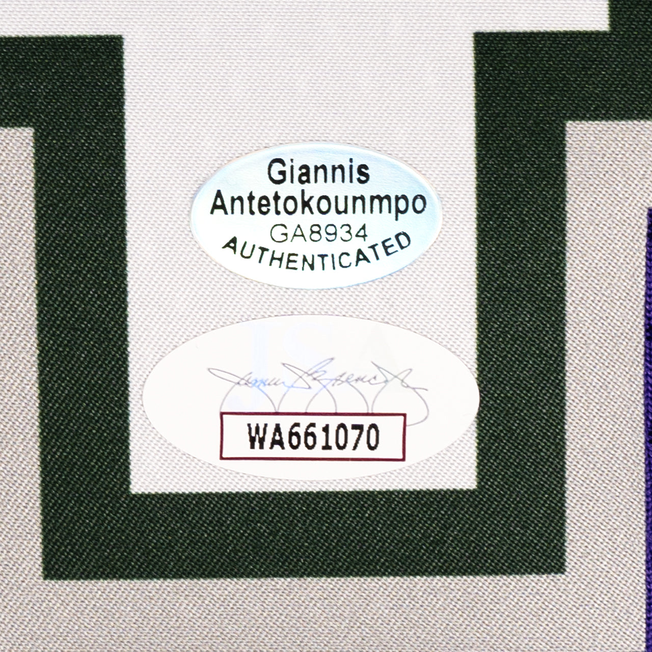 Giannis Antetokounmpo Signed Bucks Nike Jersey - The Real Autograph