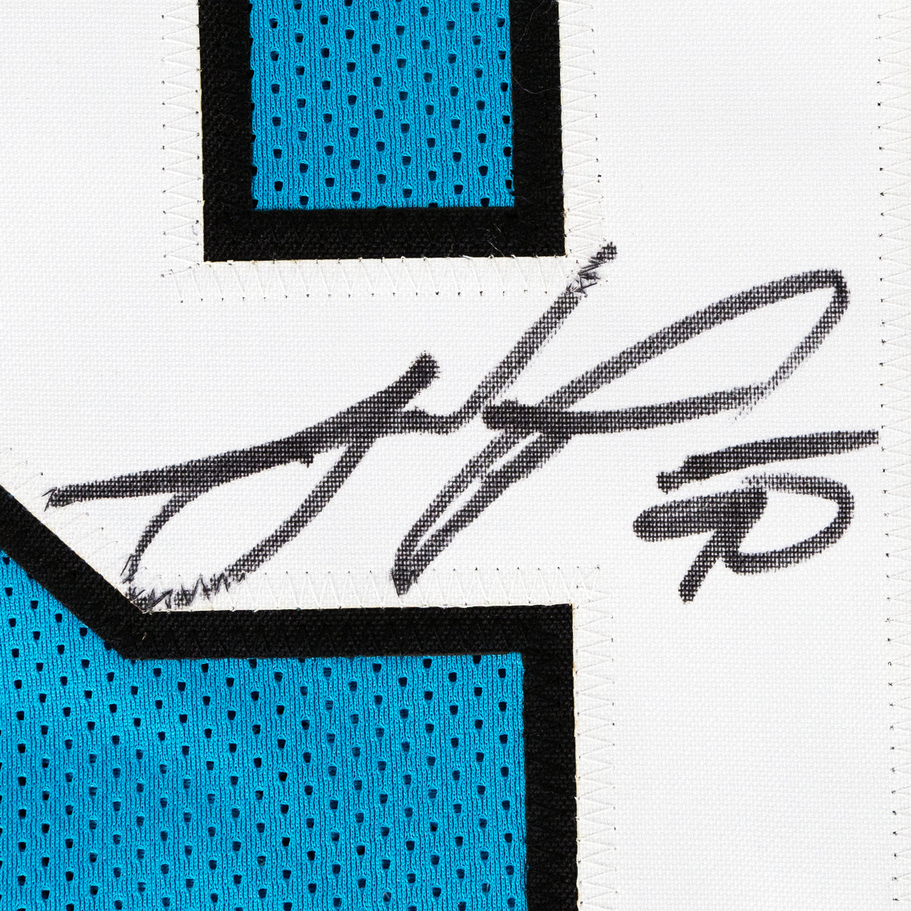 Julius Peppers Signed Jersey - The Real Autograph