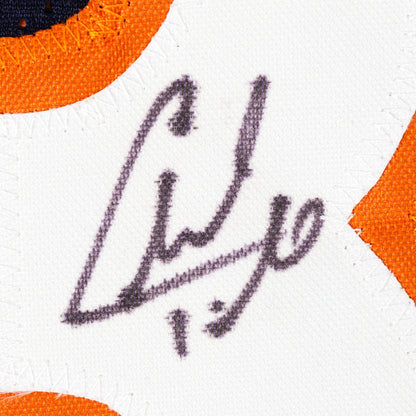 Charles Tillman Signed Jersey