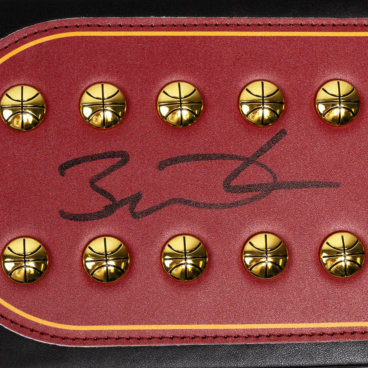 Dwyane Wade Signed Heat WWE Belt