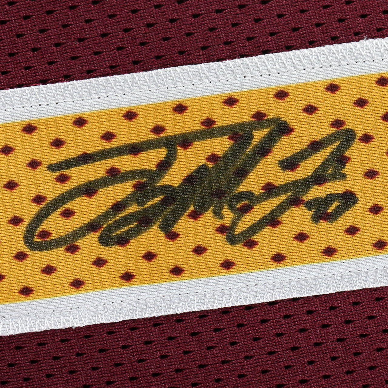 Terry McLaurin Signed Jersey