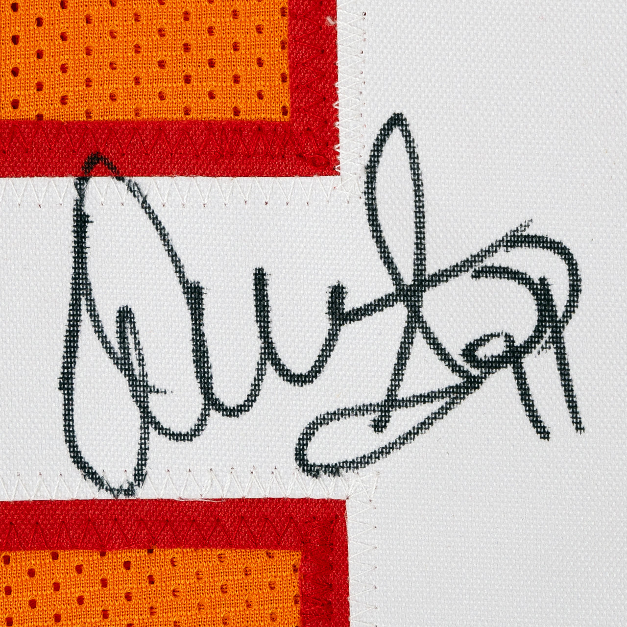 Warren Sapp Signed Jersey